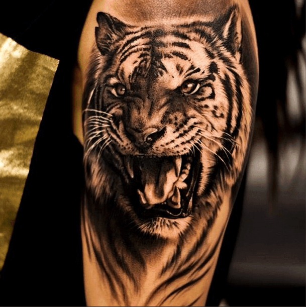 Aggregate 99+ about tiger tattoo designs super cool .vn